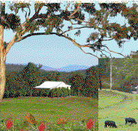 Barking Owl Retreat - Accommodation in Brisbane