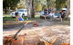 Rainbow Waters Holiday Park - thumb 4