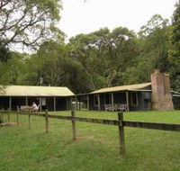Tree Fern Lodge - Accommodation in Brisbane
