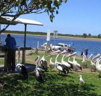 Mountain View Caravan and Mobile Home Village - Accommodation in Brisbane