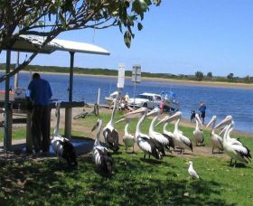 Mountain View Caravan And Mobile Home Village - Accommodation in Brisbane 0