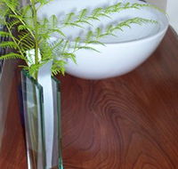 Bellbird Cottage Bed and Breakfast - Accommodation in Brisbane