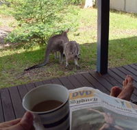 Bush and Bay Cottage - Accommodation in Brisbane