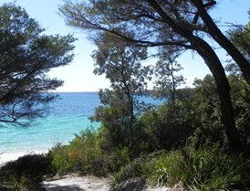 Booderee National Park: Bristol Point Camping Area - Accommodation in Brisbane 2