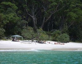 Booderee National Park: Bristol Point Camping Area - Accommodation in Brisbane 3