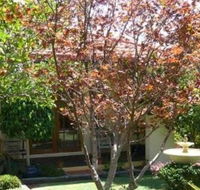 Akame - Accommodation in Brisbane