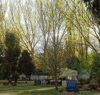 Snowy River Holiday Park
