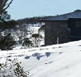 Barina Milpara Lodge - Accommodation in Brisbane