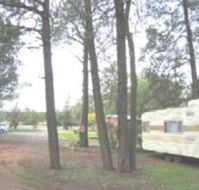 The Kelpie Caravan Park - Accommodation in Brisbane