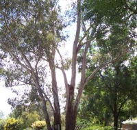 The Church House B and B