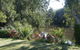 Bidgee Bankside Cottage - thumb 0