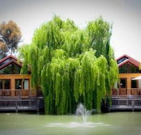 Perricoota Vines Retreat - Accommodation in Brisbane