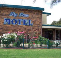 Fig Tree Motel - Accommodation in Brisbane