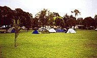 Armidale - Pembroke Tourist And Leisure Park - Accommodation in Brisbane 1