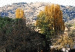 Nundle NSW Accommodation in Brisbane