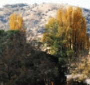 Birches Bed and Breakfast at Nundle - Accommodation in Brisbane