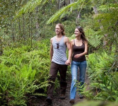Blackheath Glen Tourist Park - Accommodation in Brisbane 0