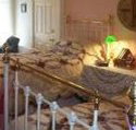 A Winter-Rose Cottage Bed and Breakfast - Accommodation in Brisbane