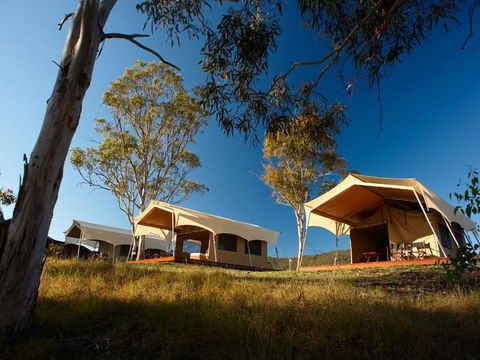 Spicers Canopy - Accommodation in Brisbane 3