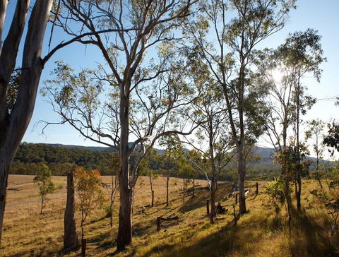 Spicers Canopy - Accommodation in Brisbane 4