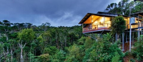 OReillys Mountain Villas - Accommodation in Brisbane 1