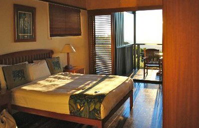 OReillys Rainforest Retreat - Accommodation in Brisbane 2