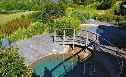 OReillys Rainforest Retreat - Accommodation in Brisbane 4