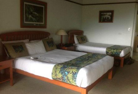 OReillys Rainforest Retreat - Accommodation in Brisbane 5