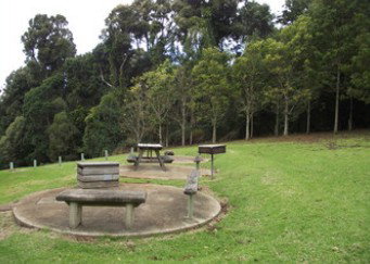 Silky Oaks - Holiday Home - Accommodation in Brisbane 0
