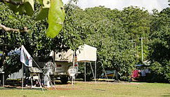 Lilyponds Holiday Park - Accommodation in Brisbane 4