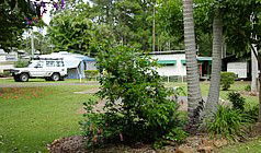 Lilyponds Holiday Park - Accommodation in Brisbane 5
