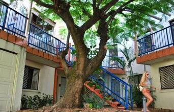 Surfers Paradise QLD Accommodation in Brisbane