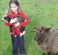 Cinnamon Coloureds Farmstay - Accommodation in Brisbane