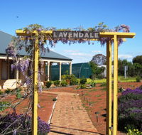 Lavendale Farmstay and Cottages - Accommodation in Brisbane