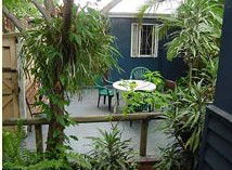 Blue Tongue Backpackers - Accommodation in Brisbane 1