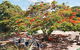 Barnacles Backpackers - thumb 1