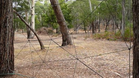 UC Camping Norval - Accommodation in Brisbane 4