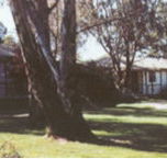 Winbi River Resort - Accommodation in Brisbane