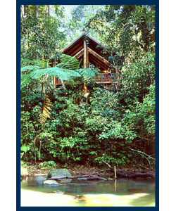 The Canopy Treehouses - Accommodation in Brisbane 1
