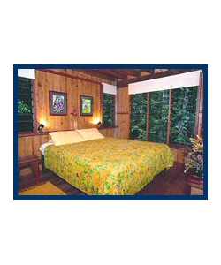 The Canopy Treehouses - Accommodation in Brisbane 3