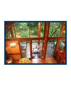 The Canopy Treehouses - Accommodation in Brisbane 4