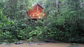 The Canopy Treehouses - Accommodation in Brisbane 5