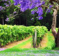 Bago Vineyards - Accommodation in Brisbane