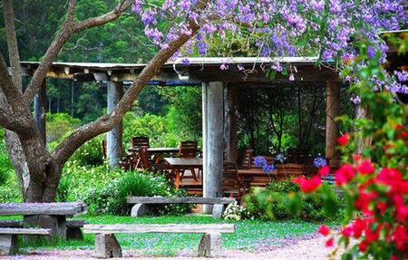 Bago Vineyards - Accommodation in Brisbane 1