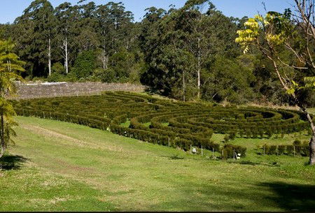 Bago Vineyards - Accommodation in Brisbane 2