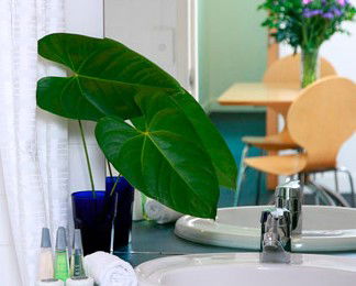 The Point Brisbane - Accommodation in Brisbane 2