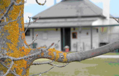 Dunalan Host Farm Cottage - Accommodation in Brisbane 1