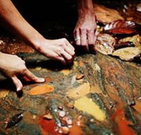 Daintree Eco Lodge And Spa - Accommodation in Brisbane