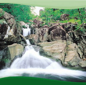 Bay Village Tropical Retreat, Cairns - Accommodation in Brisbane 2