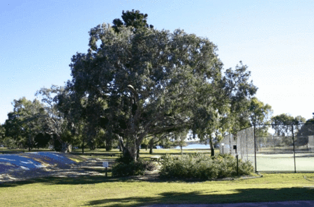 Coolwaters Holiday Village - Accommodation in Brisbane 5